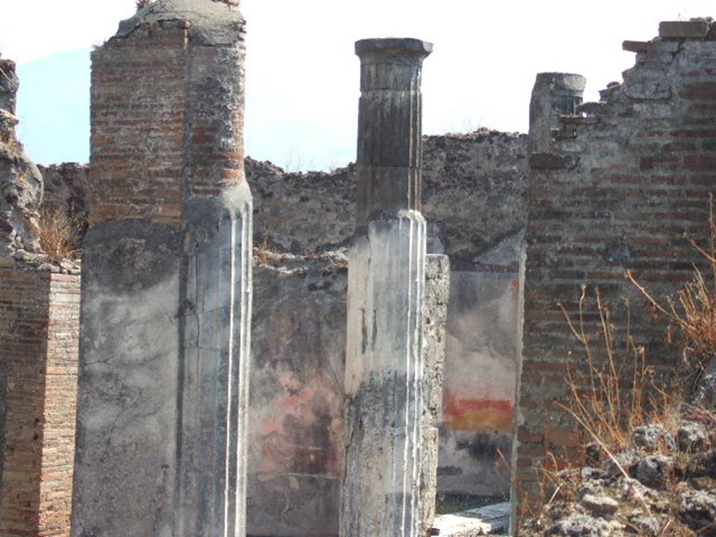 VI.7.20 Pompeii. September 2005. Looking towards east side of portico. In the centre would be the painted south wall of the tablinum. On its right would be the painted south wall of the large oecus. Taken over wall in Vicolo della Fullonica.