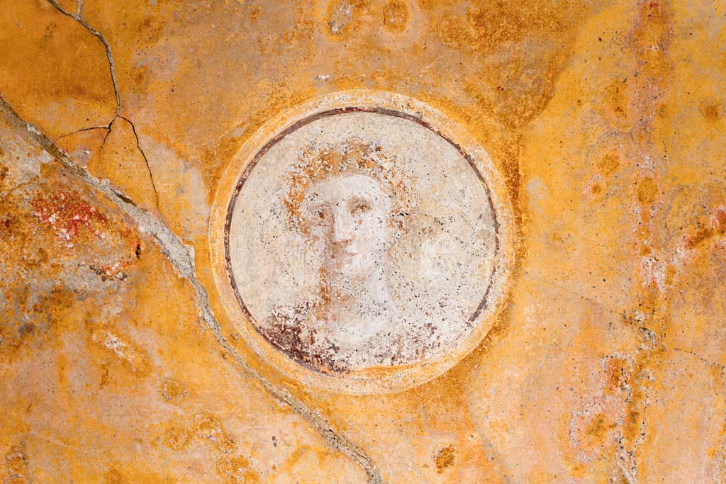 VI.7.23 Pompeii. July 2021. 
Looking towards medallion with face from west end of north wall of tablinum. Photo courtesy of Johannes Eber.