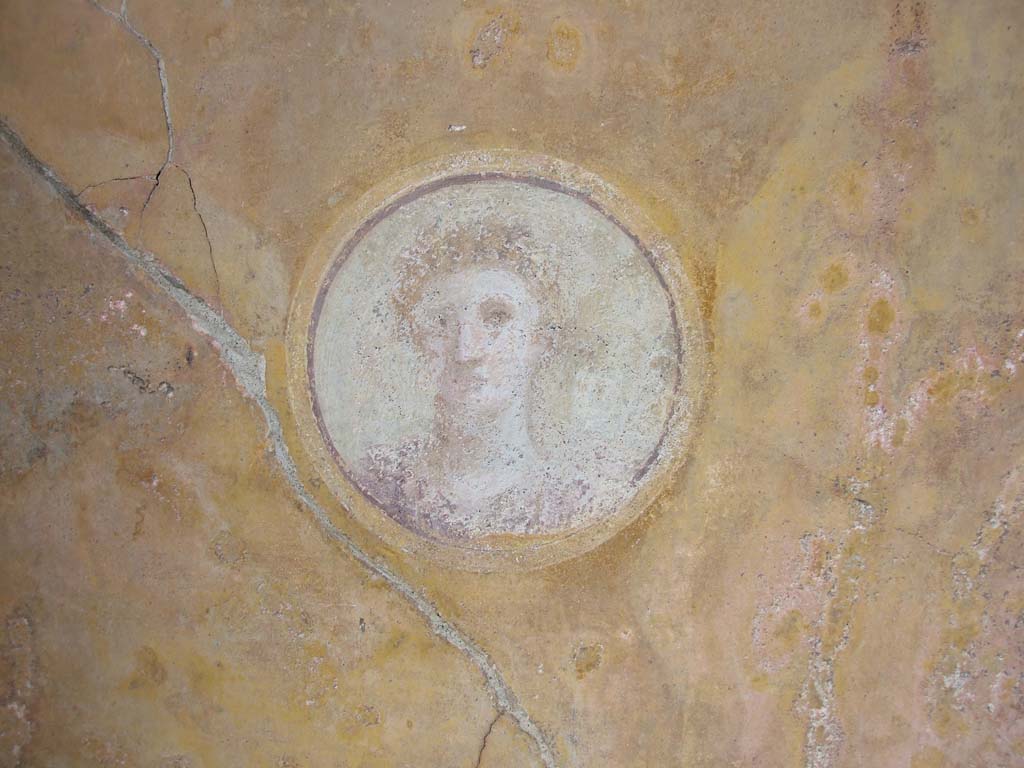 VI.7.23 Pompeii. December 2006. North wall of tablinum, detail of face in medallion from west end of north wall.