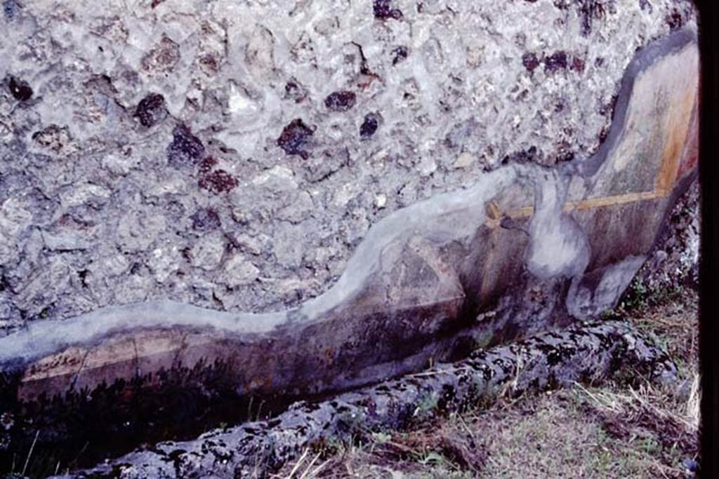 VI.7.23 Pompeii, 1983. Remains of painted garland and trellis from west end of south wall.   
Source: The Wilhelmina and Stanley A. Jashemski archive in the University of Maryland Library, Special Collections (See collection page) and made available under the Creative Commons Attribution-Non Commercial License v.4. See Licence and use details. J80f0553