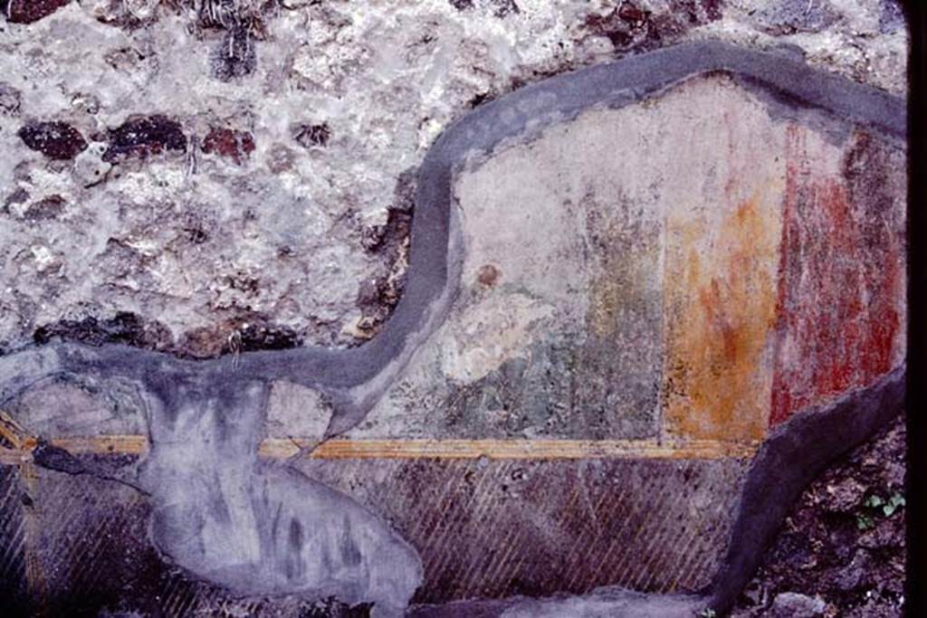 VI.7.23 Pompeii, 1983. Detail of remaining coloured painted plaster and trellis, from west side of south wall behind fountain.  
Source: The Wilhelmina and Stanley A. Jashemski archive in the University of Maryland Library, Special Collections (See collection page) and made available under the Creative Commons Attribution-Non Commercial License v.4. See Licence and use details.
J80f0551