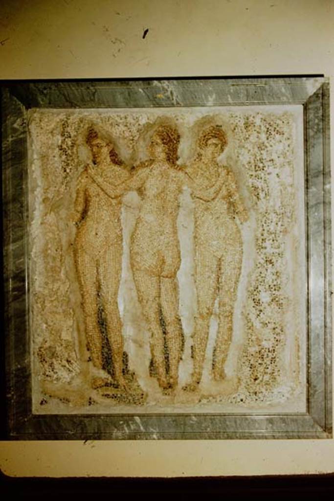 VI.7.23 Pompeii.  Mosaic of the Three Graces from the garden wall. Now in Naples Archaeological Museum. Inventory number 10004. Photo taken by Stanley A. Jashemski in 1957.
Source: The Wilhelmina and Stanley A. Jashemski archive in the University of Maryland Library, Special Collections (See collection page) and made available under the Creative Commons Attribution-Non Commercial License v.4. See Licence and use details.
J57f0543