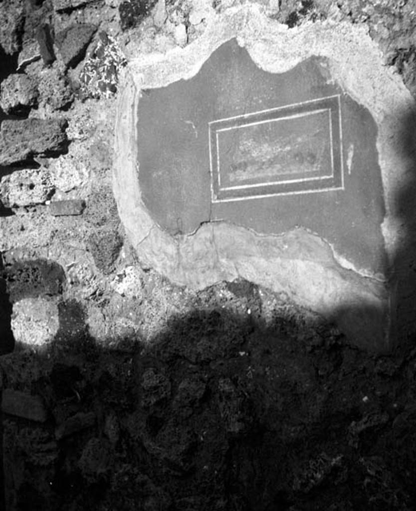 231763 Bestand-D-DAI-ROM-W.644.jpg
6.9.1 Pompeii. W644. Remains of painted panel decoration, showing bird pecking at cherries.
Photo by Tatiana Warscher. With kind permission of DAI Rome, whose copyright it remains. 
See http://arachne.uni-koeln.de/item/marbilderbestand/231763 
According to Warscher, in her room “h”, our room 16, this painting showed a rectangle with a painted bird pecking at fruit. This room was in the south-west corner of the house, the south wall of this room backed onto the peristyle of the House of Meleager. The room carried on its east wall some remains of paintings.
See Warscher, T, 1938: Codex Topographicus Pompejanus, Regio VI, insula 9: Pars prima, (no. 25), DAIR, Rome.