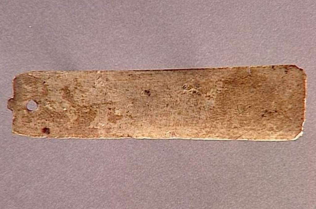 VI.9.1 Plaquette.  Length 0.014m.  OA 1868 Plaquette, musée Condé, photo RMN © R.G. Ojeda