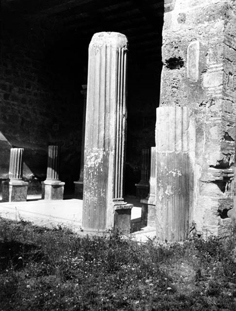 231447 Bestand-D-DAI-ROM-W.424.jpg
VI.9.2 Pompeii. W.424. Room 24, looking north-east from peristyle 16.
Photo by Tatiana Warscher. With kind permission of DAI Rome, whose copyright it remains. 
See http://arachne.uni-koeln.de/item/marbilderbestand/231447