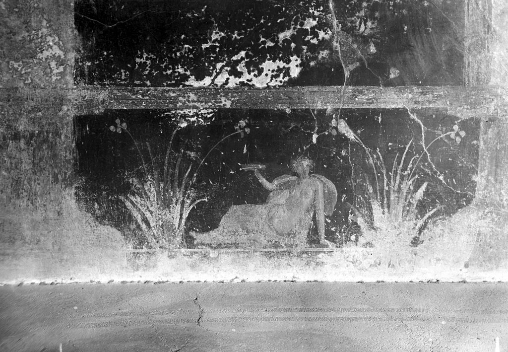 VI.9.2 Pompeii. W.599. Room 27, wall painting of nymph from dado of east wall.
Photo by Tatiana Warscher. Photo © Deutsches Archäologisches Institut, Abteilung Rom, Arkiv.