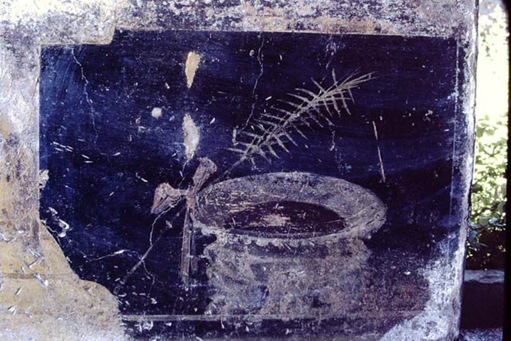 VI.9.2 Pompeii. 1968. Room 27, dado on east wall, with painting of urn or cup.
Photo by Stanley A. Jashemski.
Source: The Wilhelmina and Stanley A. Jashemski archive in the University of Maryland Library, Special Collections (See collection page) and made available under the Creative Commons Attribution-Non Commercial License v.4. See Licence and use details. J68f1004