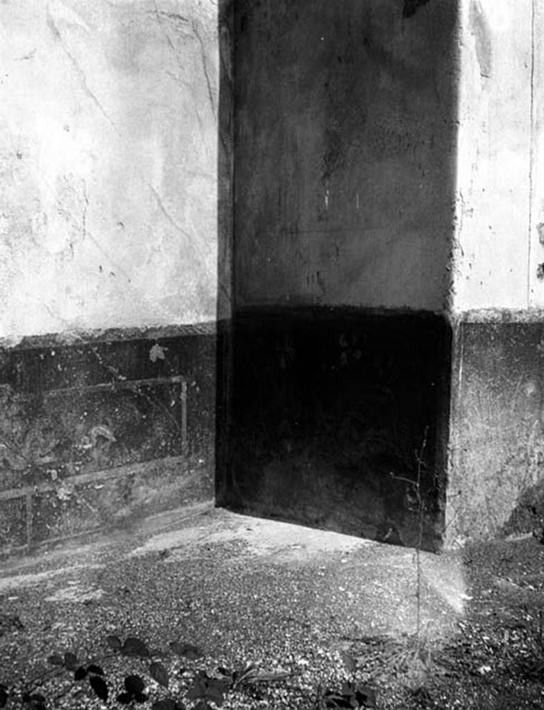 231739 Bestand-D-DAI-ROM-W.547.jpg
VI.9.2 Pompeii. W.547. Peristyle 16, north wall in north-east corner near room 28, remains of wall painting on dado.
Photo by Tatiana Warscher. With kind permission of DAI Rome, whose copyright it remains. 
See http://arachne.uni-koeln.de/item/marbilderbestand/231739