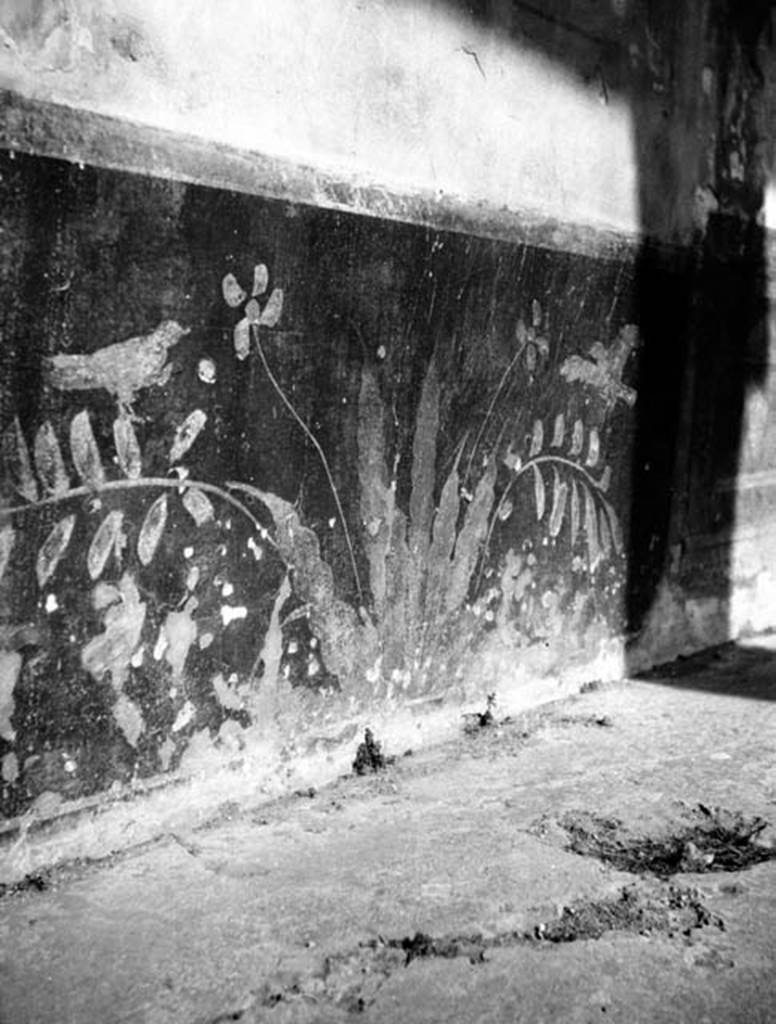 231006 Bestand-D-DAI-ROM-W.562.jpg
VI.9.2 Pompeii. W.562. Peristyle 16, north wall dado with plants and birds.
Photo by Tatiana Warscher. With kind permission of DAI Rome, whose copyright it remains. 
See http://arachne.uni-koeln.de/item/marbilderbestand/231006