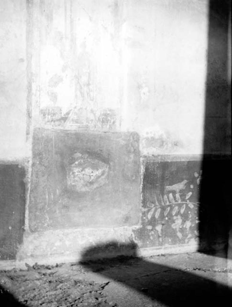 231008 Bestand-D-DAI-ROM-W.566.jpg
VI.9.2 Pompeii. W.566. Peristyle 16, dado from north wall.
Photo by Tatiana Warscher. With kind permission of DAI Rome, whose copyright it remains. 
See http://arachne.uni-koeln.de/item/marbilderbestand/231008