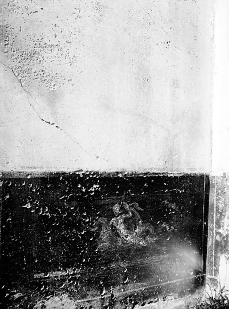 231462 Bestand-D-DAI-ROM-W.468.jpg
VI.9.2 Pompeii. W.468. Room 2, dado from north wall of atrium with painted nereid, in north-east corner.
Photo by Tatiana Warscher. With kind permission of DAI Rome, whose copyright it remains. 
See http://arachne.uni-koeln.de/item/marbilderbestand/231462