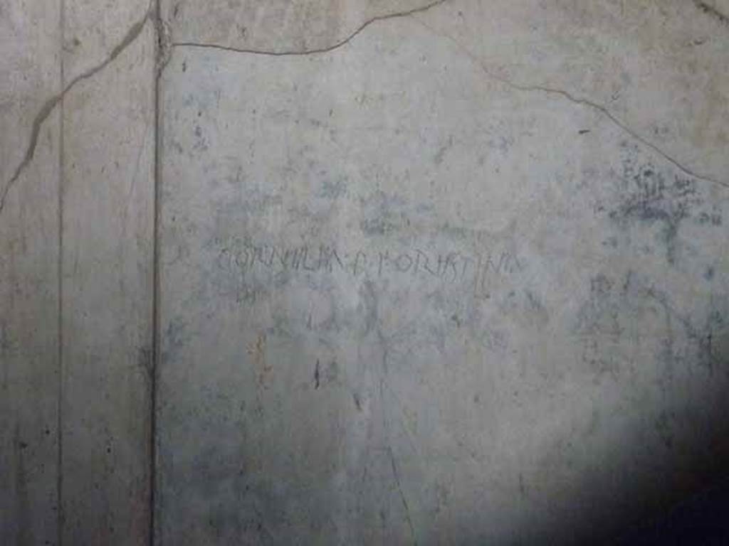 VI.9.3 Pompeii. October 2010. West wall of cubiculum 3, on south side of entrance doorway decorated in the first style. Latin inscription CORNIILIA P F ORIISTINA on first style decoration. Photo courtesy of Gabriele Große.