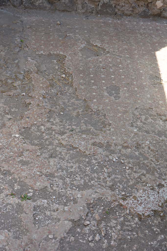 VI.9.4 Pompeii. July 2017. Room 15, detail of flooring. 
Foto Annette Haug, ERC Grant 681269 DÉCOR.