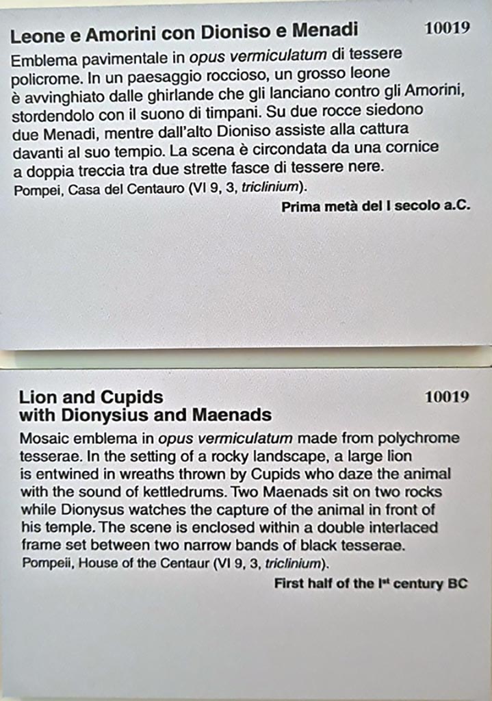 VI.9.3/5 Pompeii. September 2024. 
Information card from Naples Archaeological Museum. Photo courtesy of Giuseppe Ciaramella