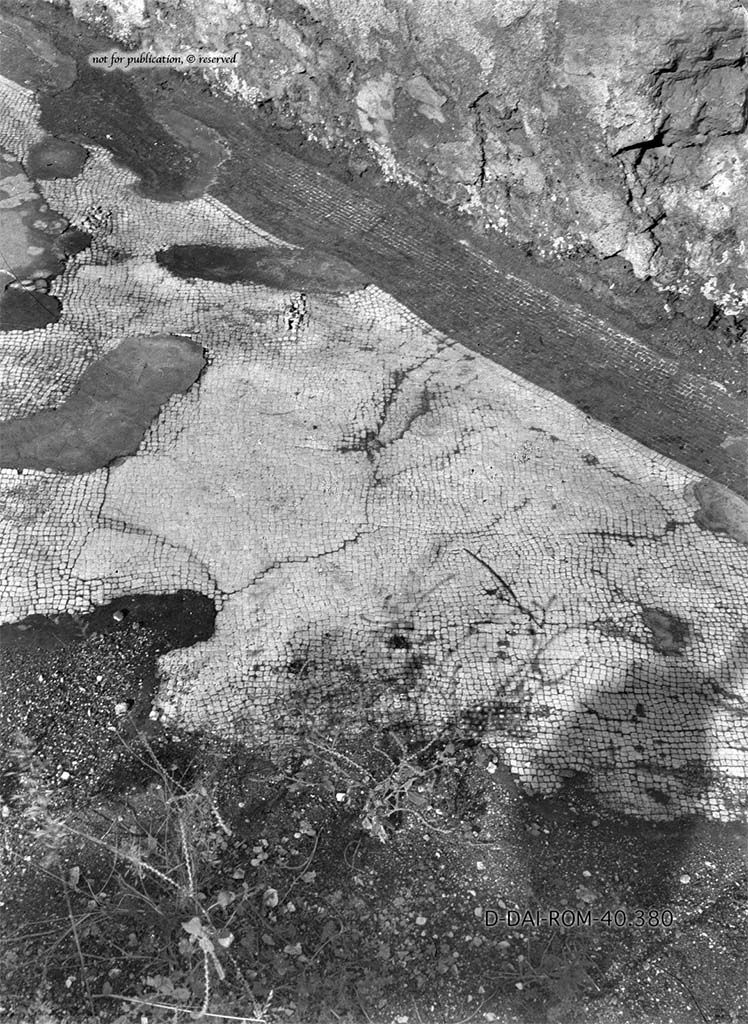 VI.9.5 Pompeii. Triclinium 32. Mosaic floor. Photo by E. Pernice.
DAIR 40.380. Photo © Deutsches Archäologisches Institut, Abteilung Rom, Arkiv. 
See Carratelli, G. P., 1990-2003. Pompei: Pitture e Mosaici: Vol. IV. Roma: Istituto della enciclopedia italiana, p. 859.