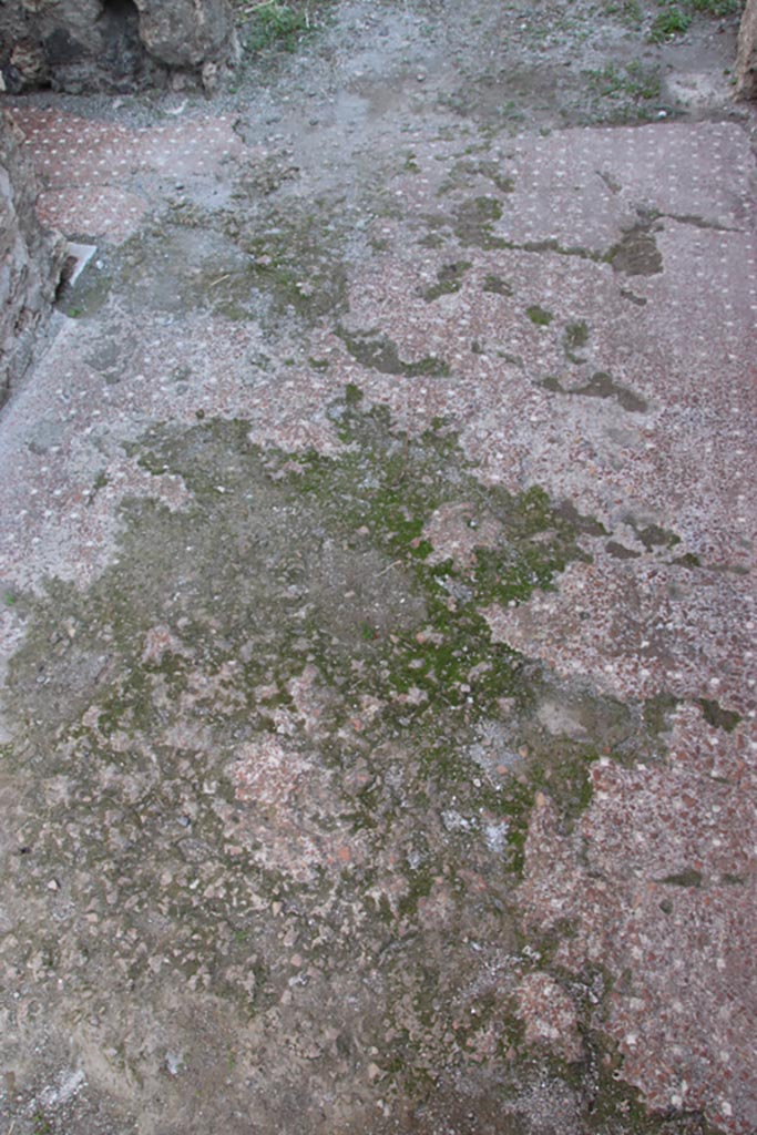 VI.9.5 Pompeii. October 2022. 
Room 14, detail of flooring in entrance corridor, looking east. Photo courtesy of Klaus Heese.