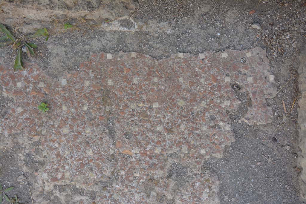 VI.9.5 Pompeii. July 2017. Room 14, detail of flooring on south side at west end near doorway.
Foto Annette Haug, ERC Grant 681269 DÉCOR.