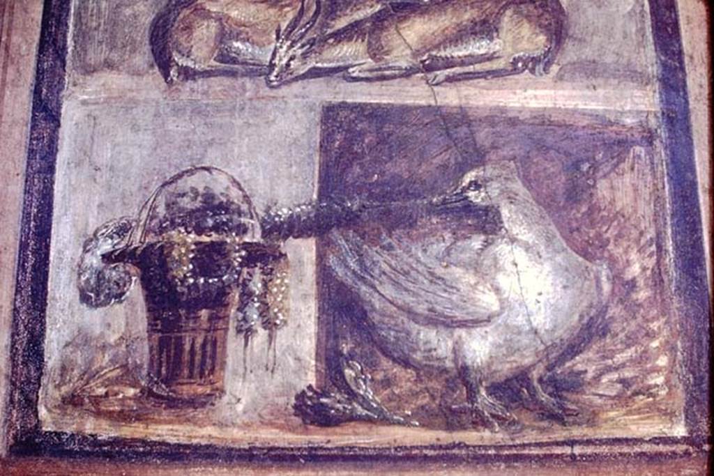 VI.9.6 Pompeii. 1968. Room 6, detail from wall painting of two deer, a basket with garlands and a goose.  Photo by Stanley A. Jashemski.
Source: The Wilhelmina and Stanley A. Jashemski archive in the University of Maryland Library, Special Collections (See collection page) and made available under the Creative Commons Attribution-Non Commercial License v.4. See Licence and use details.
J68f1007