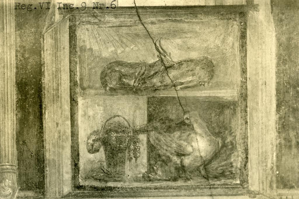 VI.9.6 Pompeii. Pre-1937-39. 
Room 6, from north wall of peristyle on west side of doorway, wall painting of two deer, a basket with garlands and a goose.
Photo courtesy of American Academy in Rome, Photographic Archive. Warsher collection no. 1671.