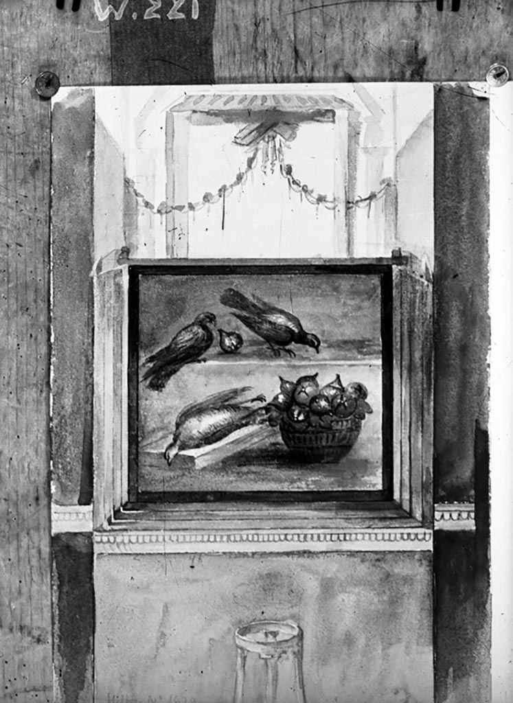 VI.9.6 Pompeii. W.221. Peristyle 6, wall painting of two birds pecking at a bowl of figs. 
A dead partridge is lying at the side of the bowl.
From the west end of the north wall of the peristyle 6.
Photo by Tatiana Warscher. Photo © Deutsches Archäologisches Institut, Abteilung Rom, Arkiv.