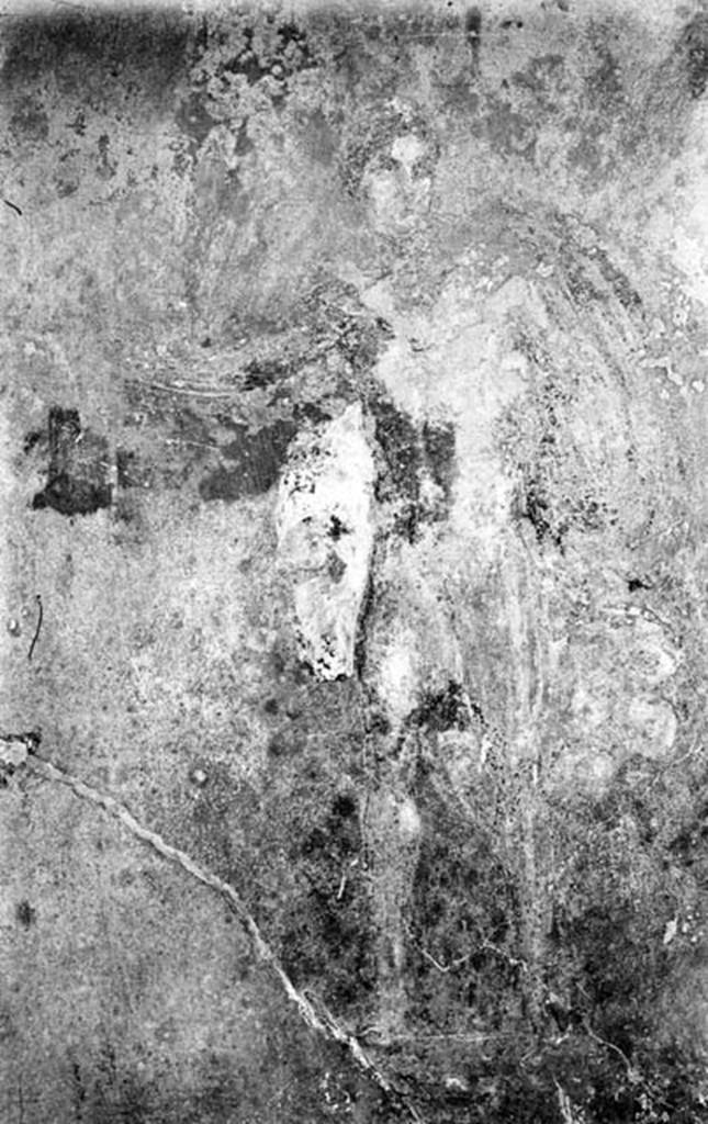 231076 Bestand-D-DAI-ROM-W.0290.jpg
VI.9.6 Pompeii. W.290. Room 6, wall painting of figure from panel in south wall, on east side of doorway to VI.9.7.
Photo by Tatiana Warscher. With kind permission of DAI Rome, whose copyright it remains. 
See http://arachne.uni-koeln.de/item/marbilderbestand/231076