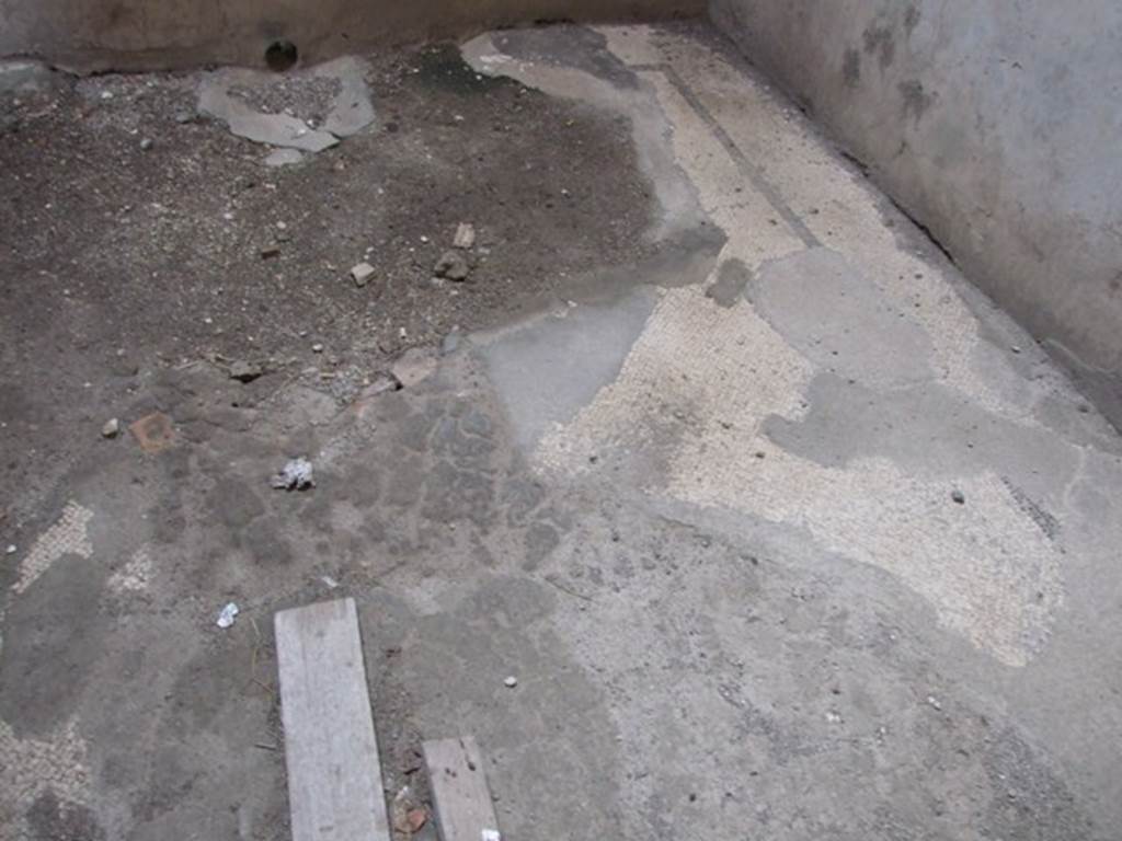 VI.9.6 Pompeii. March 2009. Room 23, mosaic floor of room in north-west corner of the peristyle.