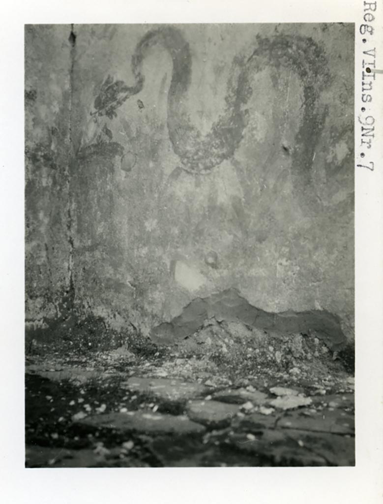 VI.9.7 Pompeii. Room 4, north-west corner of kitchen, remains of lararium painting of serpent on north wall.
Photo courtesy of American Academy in Rome, Photographic Archive. Warsher collection no. 1587.
