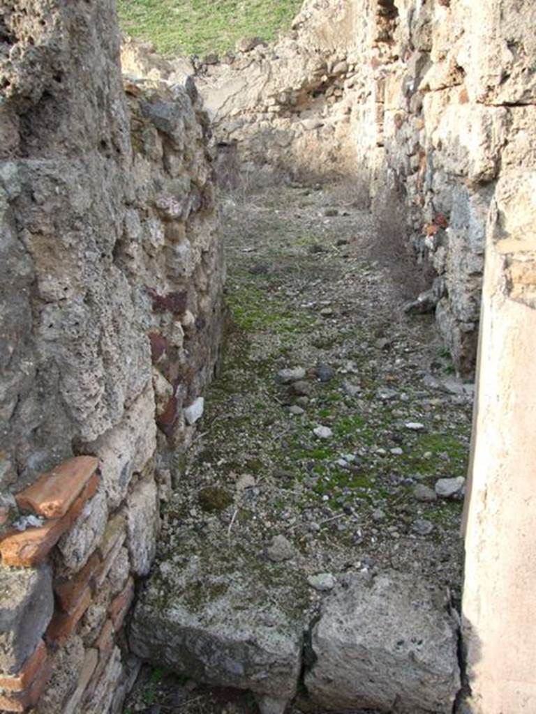 VI.9.14 Pompeii. December 2007. Looking north along entrance corridor to large room 31, an oecus in north-west corner.