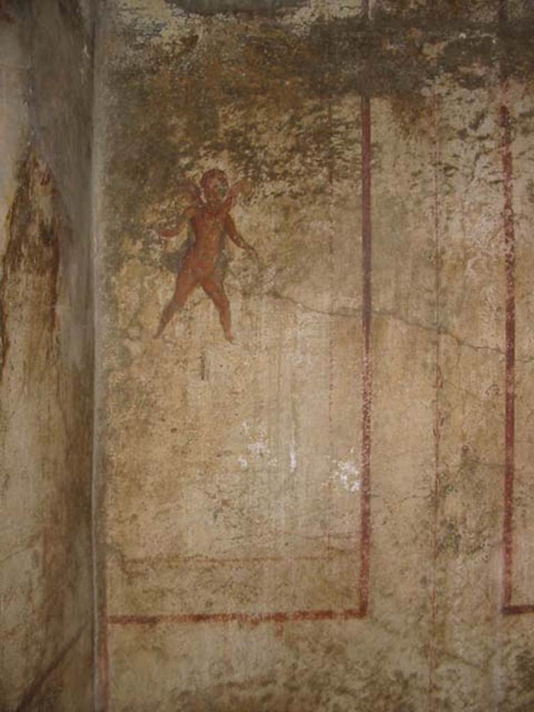 VI.10.1 Pompeii. May 2003. Flying cupid from north wall in north-west corner of rear room.   Photo courtesy of Nicolas Monteix.