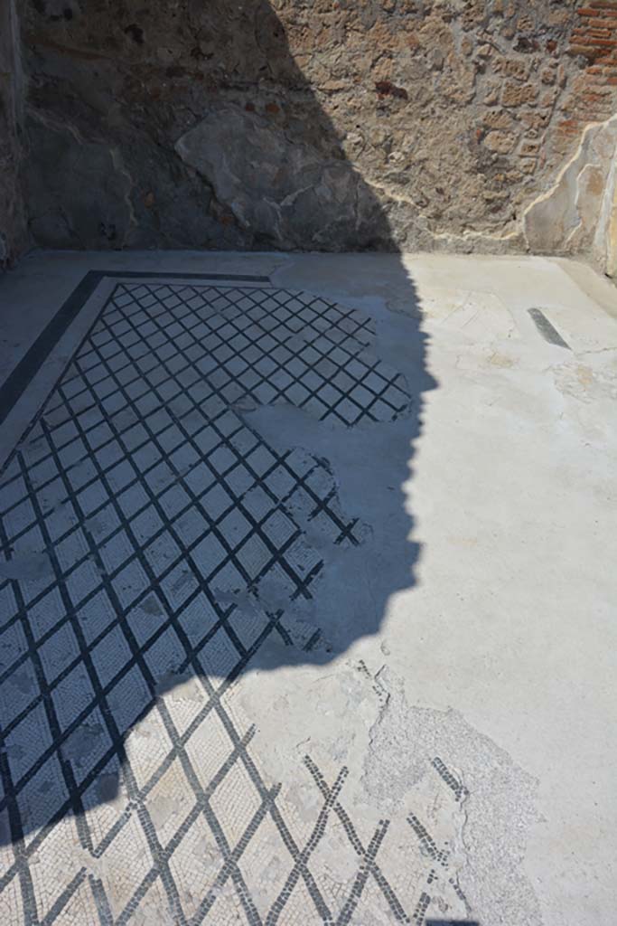 VI.10.7 Pompeii. September 2019. Room 11, detail of flooring.
Foto Annette Haug, ERC Grant 681269 DÉCOR.