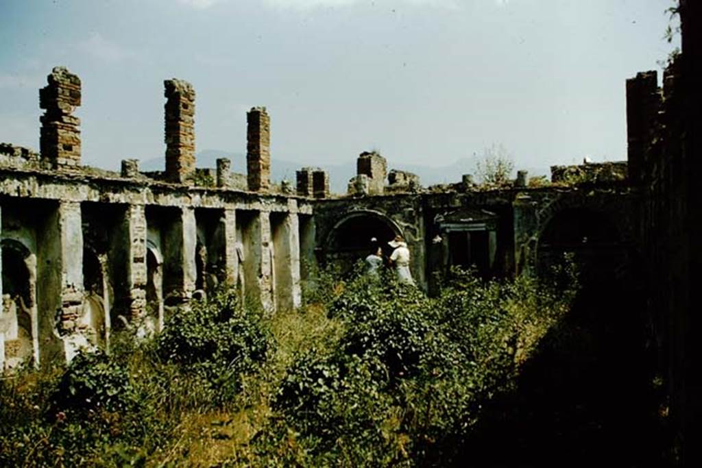 VI.10.7 Pompeii. 1957. Garden area, looking south towards Tatiana Warscher and Wilhelmina Jashemski deep in discussion. Photo by Stanley A. Jashemski.
Source: The Wilhelmina and Stanley A. Jashemski archive in the University of Maryland Library, Special Collections (See collection page) and made available under the Creative Commons Attribution-Non Commercial License v.4. See Licence and use details.
J57f0181