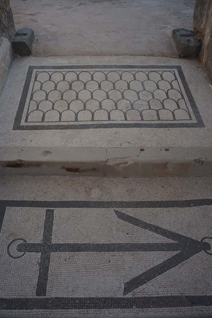 VI.10.7 Pompeii. September 2019. Room 1, looking east across mosaics in vestibule/entrance corridor/fauces.
Foto Annette Haug, ERC Grant 681269 DÉCOR.
