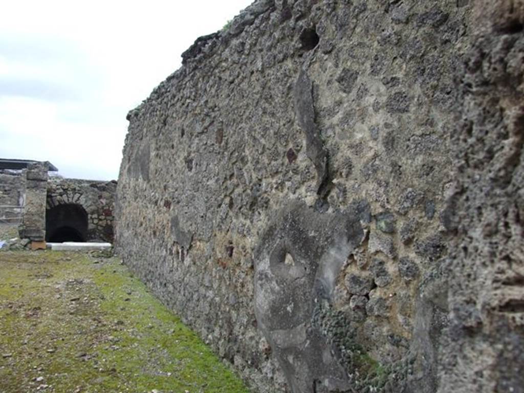 VI.10.7 Pompeii. March 2009. Room 1, south wall of atrium.  According to Bragantini, the dado of the atrium walls may have been painted black, the middle zone was yellow.
See Bragantini, de Vos, Badoni, 1983. Pitture e Pavimenti di Pompei, Parte 2. Rome: ICCD. (p.231)