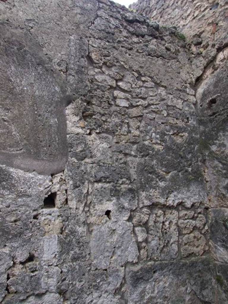 VI.10.11 Pompeii. March 2009. Room 11, south wall of cubiculum on west side of atrium.