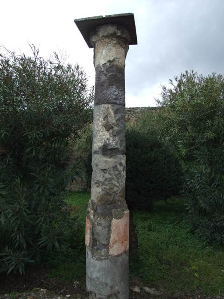 VI.10.11 Pompeii. March 2009. Room 17, column in garden.
