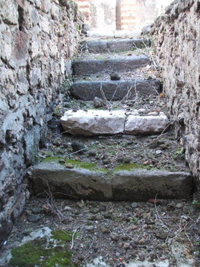 VI.10.17 Pompeii. December 2005. Steps up from entrance.