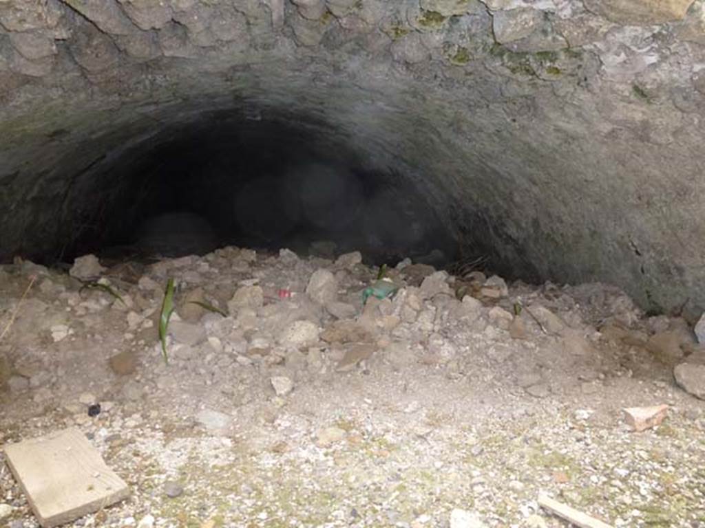 VI.10.17 Pompeii. September 2011.  Arched cellar area. Photo courtesy of Michael Binns.