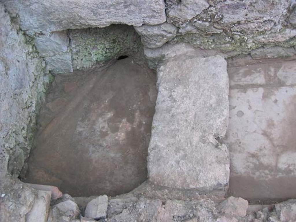 VI.11.6 Pompeii. July 2008. Looking west at latrine, and drain through wall onto vicolo. 
Photo courtesy of Barry Hobson.