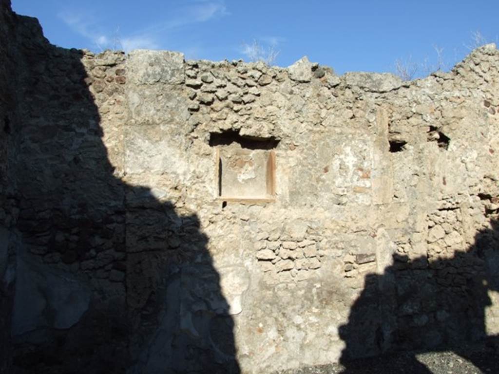 VI.11.8 Pompeii. December 2007. Room 50, niche.  
According to Boyce, in the north wall of the atrium were the ruins of a rectangular niche.
This was originally adorned with a stucco aedicula façade and decorated with painted ornaments.
On the inside the ornaments were red leaves, and on the outside arabesques and a peacock.
On the wall below the niche was a painting of two large serpents confronted at an altar imitating coloured marble.
The altar was furnished with offerings on the top and above the serpents was a garland.
See Boyce G. K., 1937. Corpus of the Lararia of Pompeii. Rome: MAAR 14. (p.50, no.182)