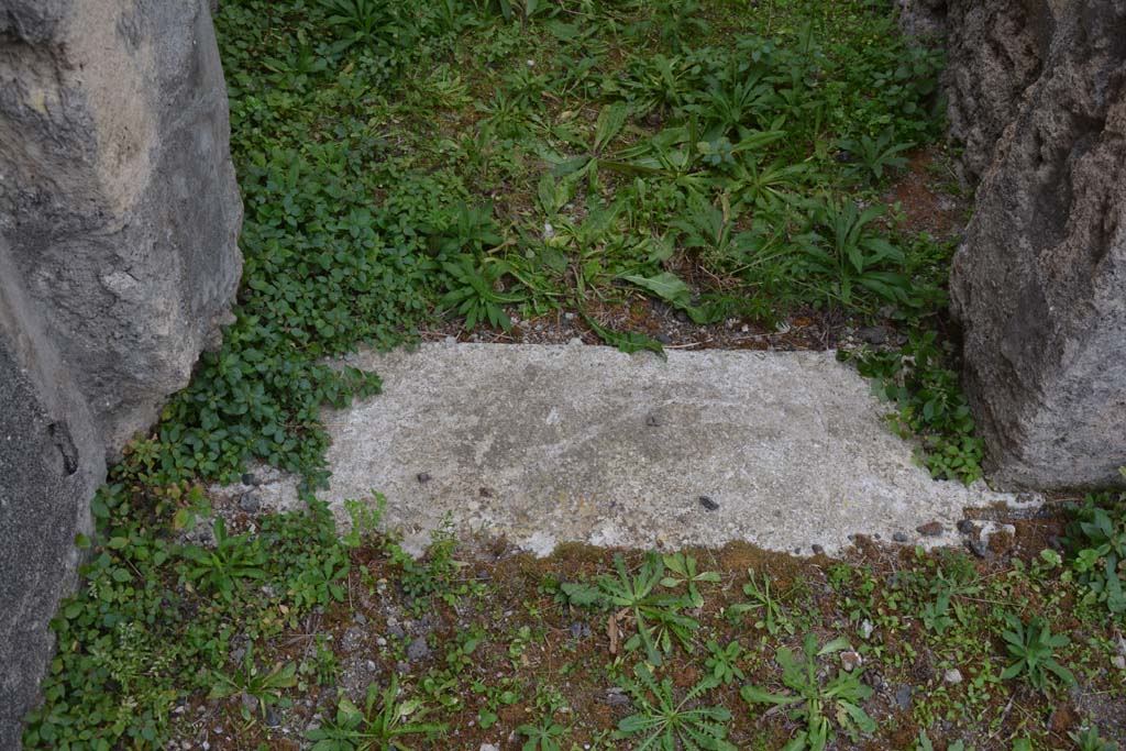 VI.11.9 Pompeii. October 2017. Room 4, doorway threshold.
Foto Annette Haug, ERC Grant 681269 DÉCOR