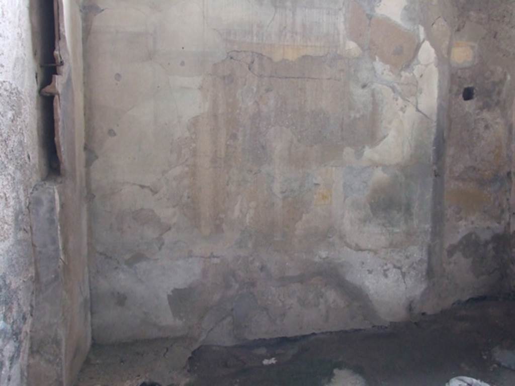 VI.11.9 Pompeii. March 2009. Room 21, west wall of tepidarium.