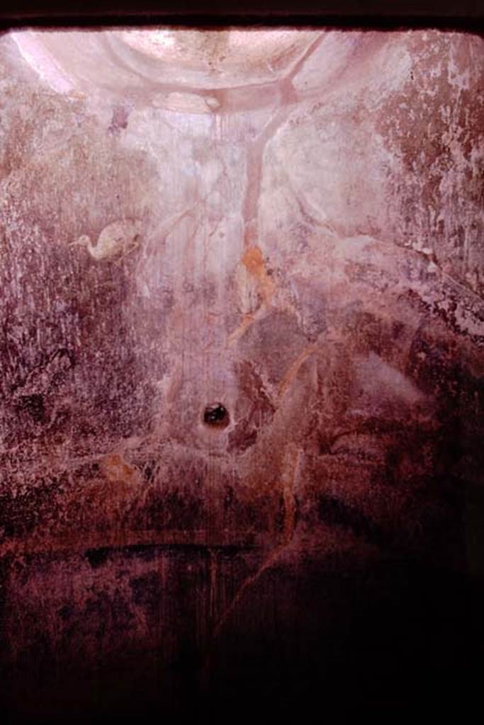 VI.11.9 Pompeii. 
Room 22, painted garden scene from rear wall of caldarium alcove. Photo by Stanley A. Jashemski.   
Source: The Wilhelmina and Stanley A. Jashemski archive in the University of Maryland Library, Special Collections (See collection page) and made available under the Creative Commons Attribution-Non-Commercial License v.4. See Licence and use details.
J74f0142