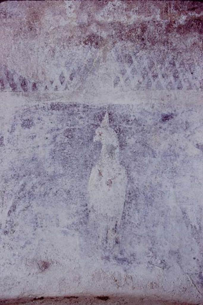 VI.11.9 Pompeii. 1974. 
Room 22, detail of painted bird on rear wall of caldarium alcove. Photo by Stanley A. Jashemski.   
Source: The Wilhelmina and Stanley A. Jashemski archive in the University of Maryland Library, Special Collections (See collection page) and made available under the Creative Commons Attribution-Non-Commercial License v.4. See Licence and use details.
J74f0143