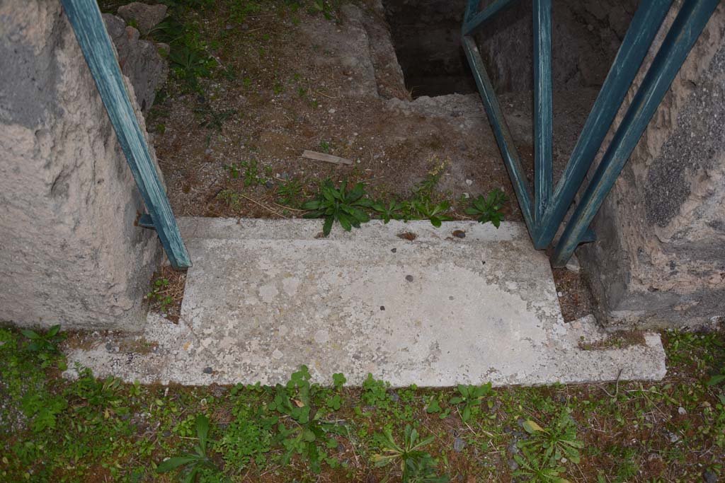 VI.11.9 Pompeii. October 2017. Room 2, doorway threshold. 
Foto Annette Haug, ERC Grant 681269 DÉCOR