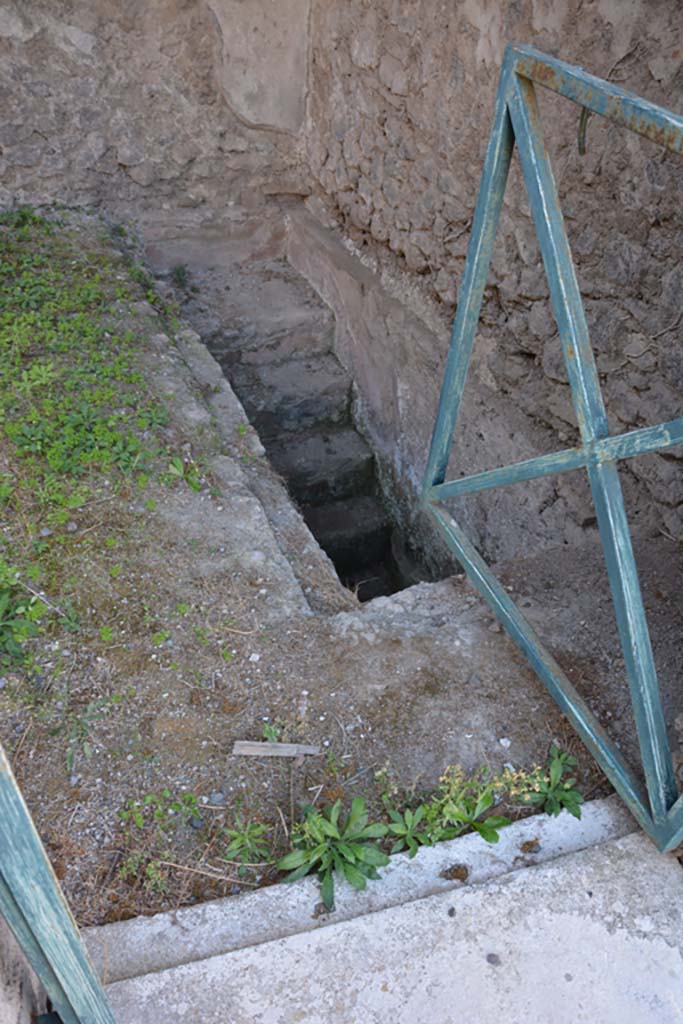 VI.11.9 Pompeii. October 2017. 
Room 2, looking towards south-west corner and steps to cellar, near west wall. 
Foto Annette Haug, ERC Grant 681269 DÉCOR