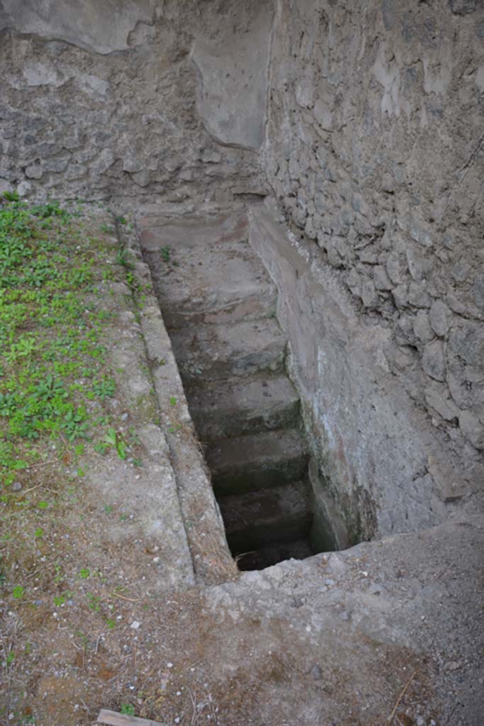 VI.11.9 Pompeii. October 2017. Room 2, steps to cellar, near west wall.
Foto Annette Haug, ERC Grant 681269 DÉCOR