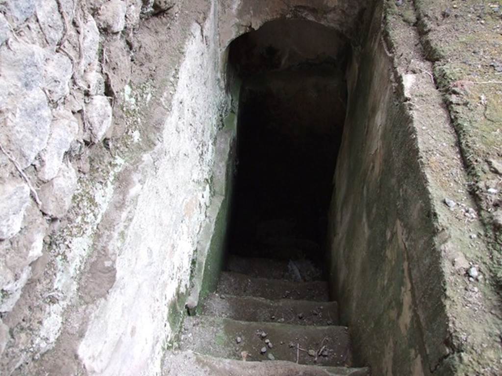 VI.11.9 Pompeii. December 2006. Room 2, looking north down steps to cellar.
