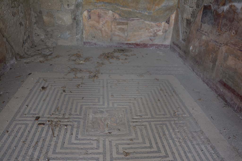 VI.11.10 Pompeii. October 2017. Room 42, looking north across flooring.
Foto Annette Haug, ERC Grant 681269 DÉCOR