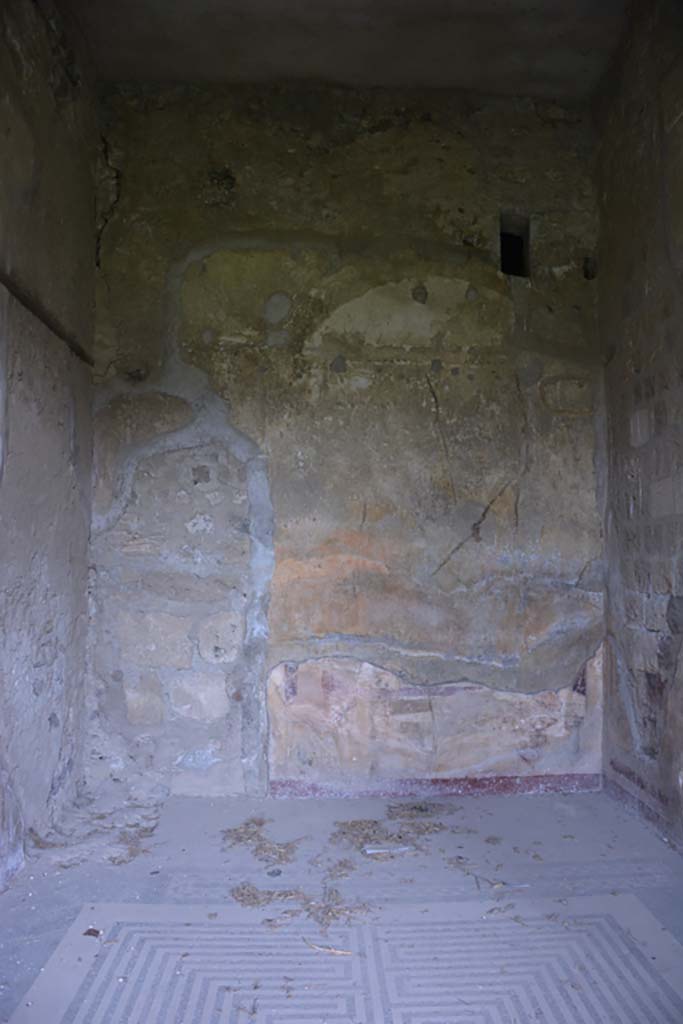 VI.11.10 Pompeii. December 2017. Room 42, looking towards north wall.
Foto Annette Haug, ERC Grant 681269 DÉCOR