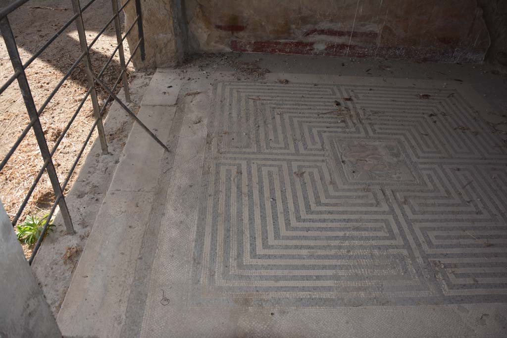 VI.11.10 Pompeii. October 2017. Room 42, looking west across mosaic flooring, at south end.
Foto Annette Haug, ERC Grant 681269 DÉCOR